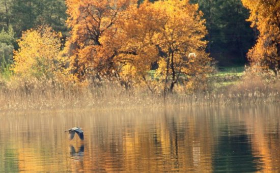 Bekomme Ich Nach Dalyan?