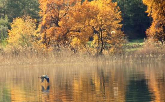 Dalyan Fotoğrafları